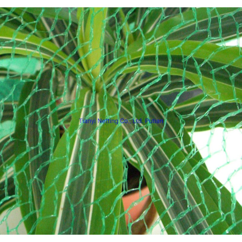 HDPE 8GSM 10X3m Green Color Anti Bird Net, High Quality, Protect Crops.