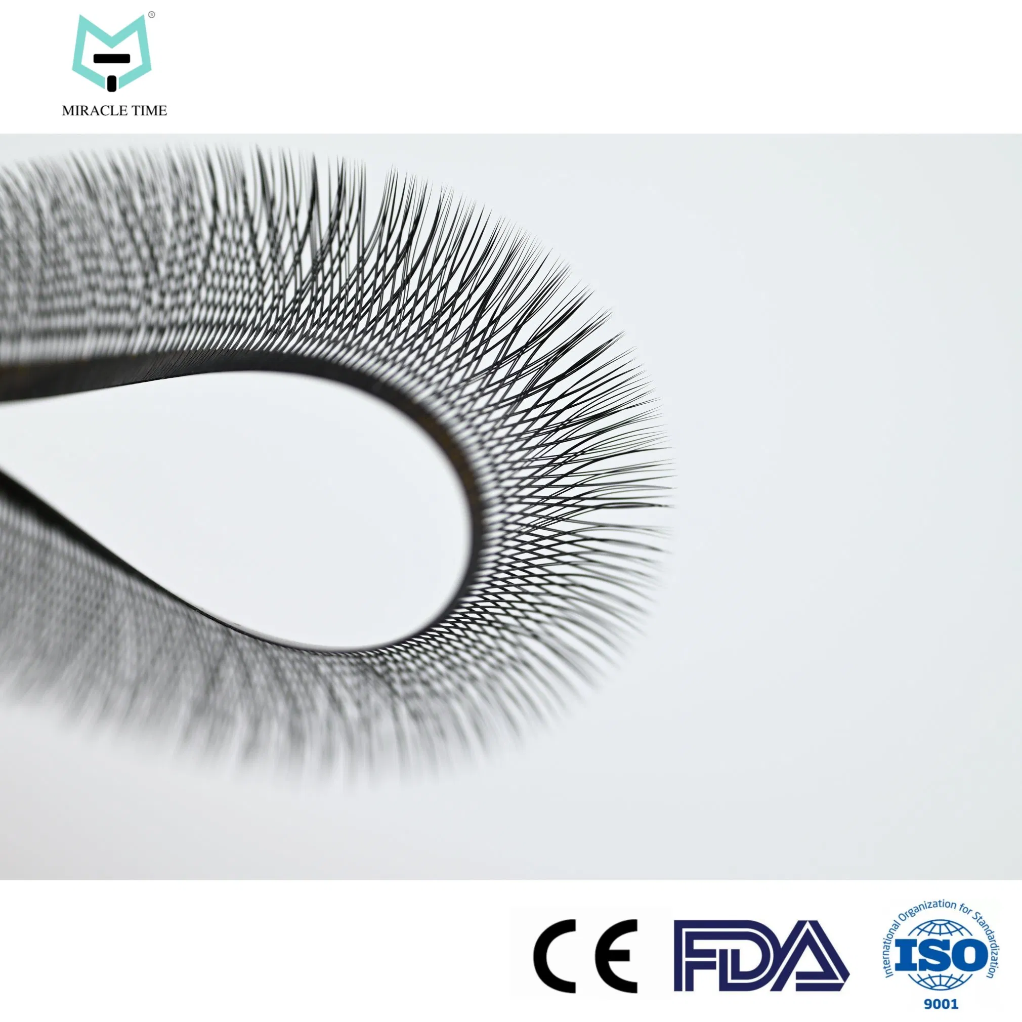 Mtlashes China Wholesale Lashes Rapid Blooming Volume Clover Premium Eyelash Yy Lashes