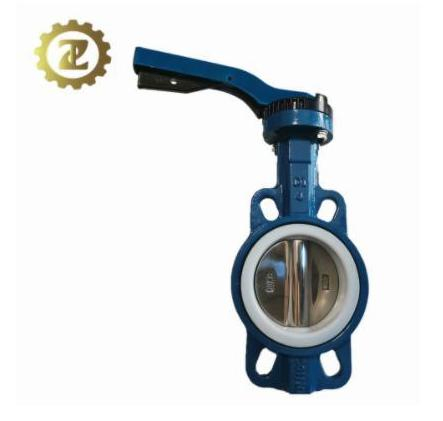 DN50 PTFE Seated Customized Professional Wafer Butterfly Valve