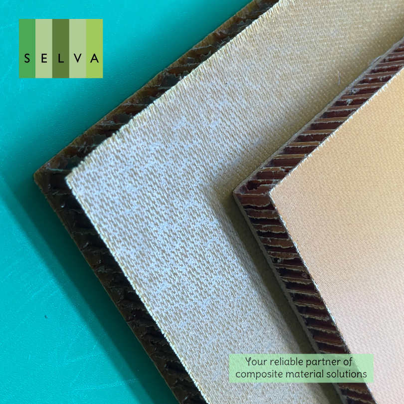 Lightweight Aramid Honeycomb Panels for High-Speed Train Design