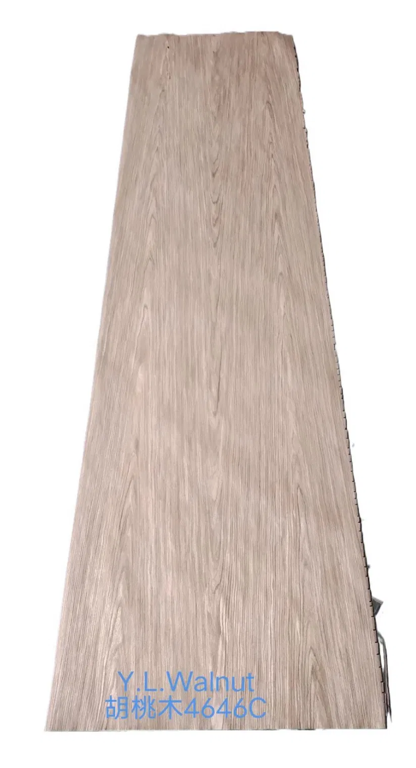 Beautiful Red Oak Leather with Beautiful Patterns and Textures, Used for Making Furniture.