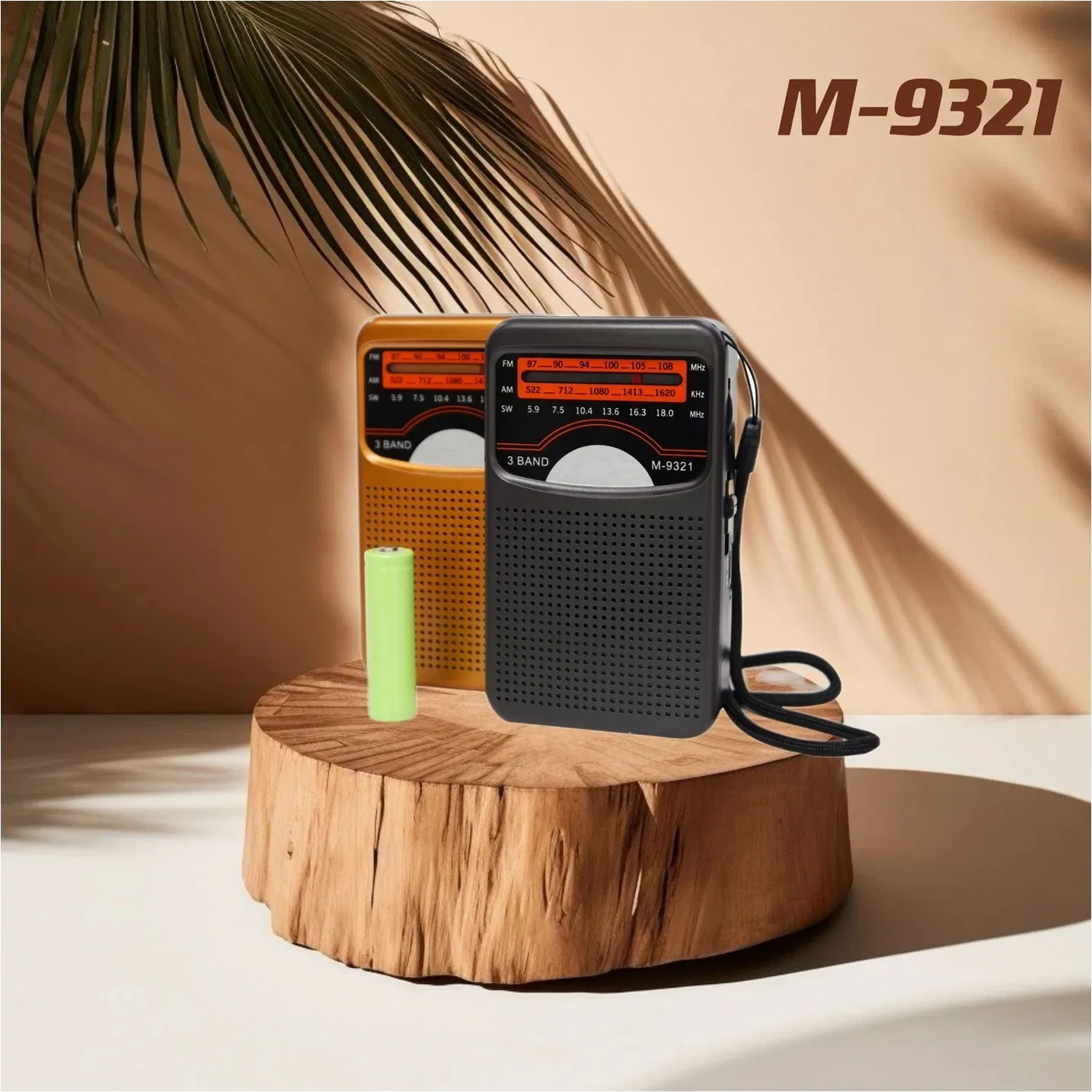 Портативное радио FM/AM/SW с аккумулятором