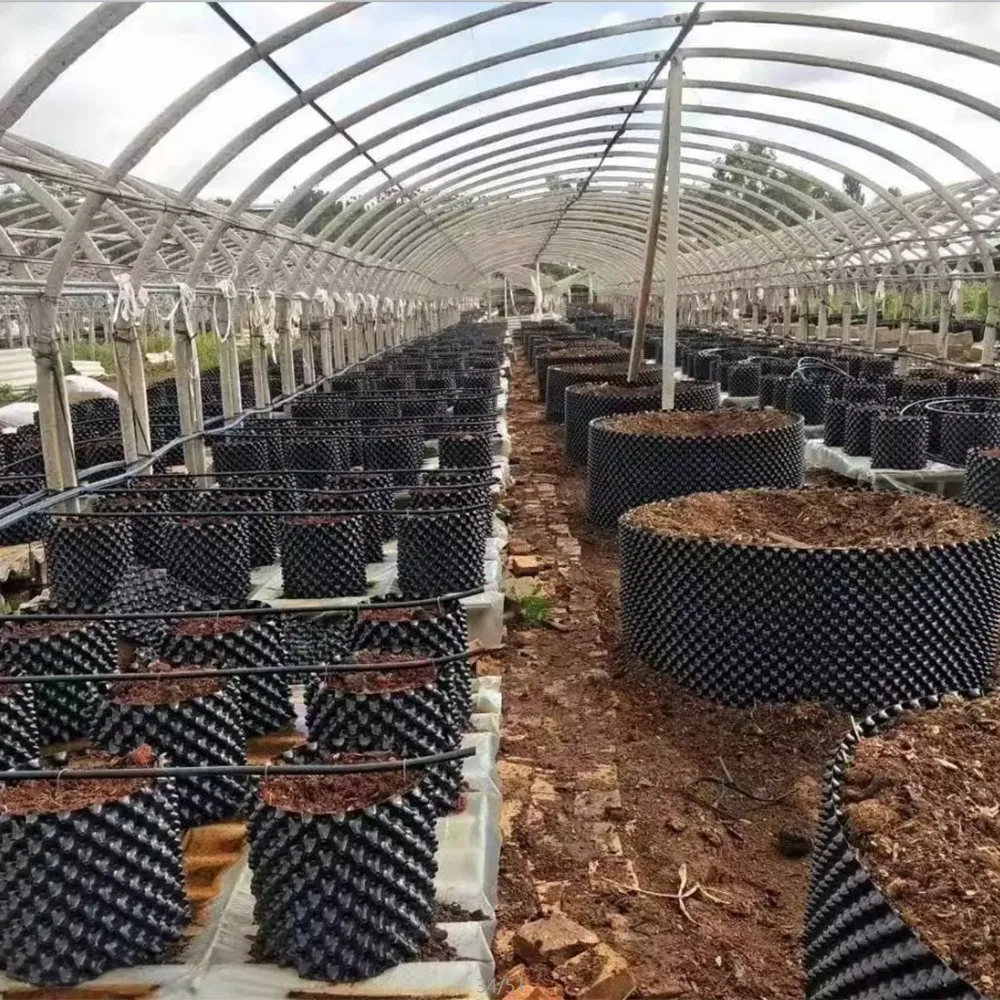 Complete Air Pruning Pot Set with Root Trimmer for Healthy Plant Growth