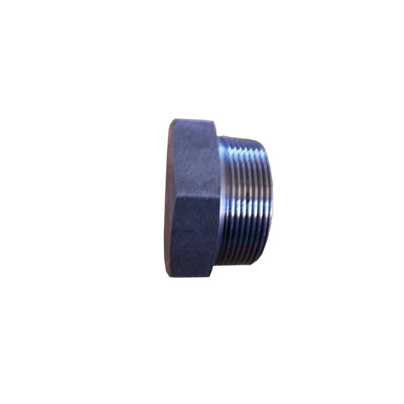 Stainless Steel Hex Reducing Bushing with Internal Thread