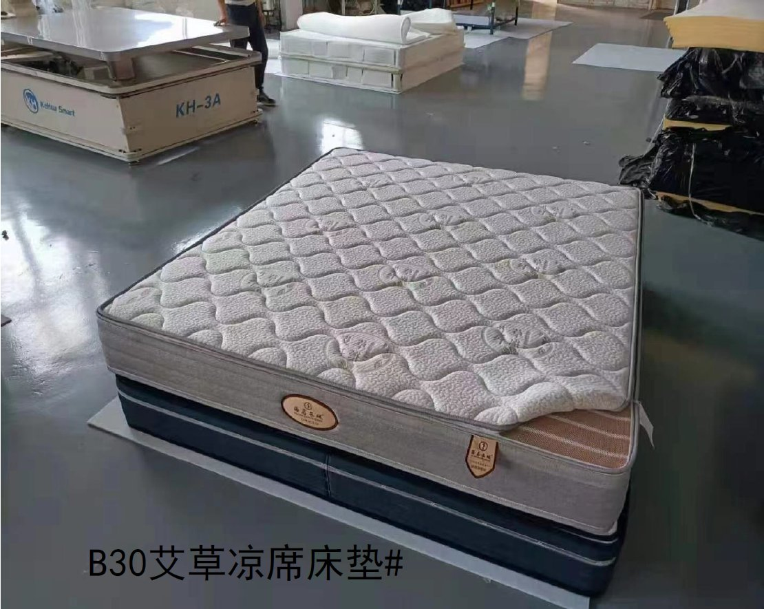 Home Furniture Luxury Natural Latex Euro Top Double Queen King Bed Mattress