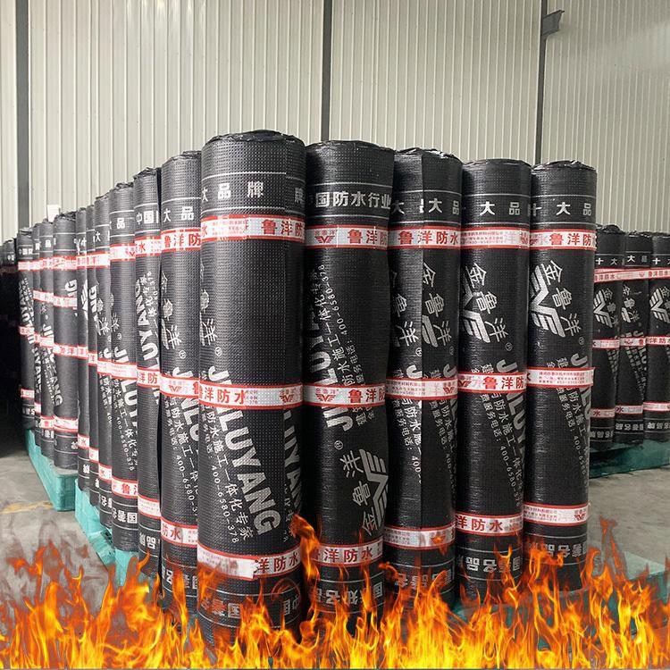 Factory Supply Sbs APP Modified Bitumen Waterproof Membrane with Granules or Sands