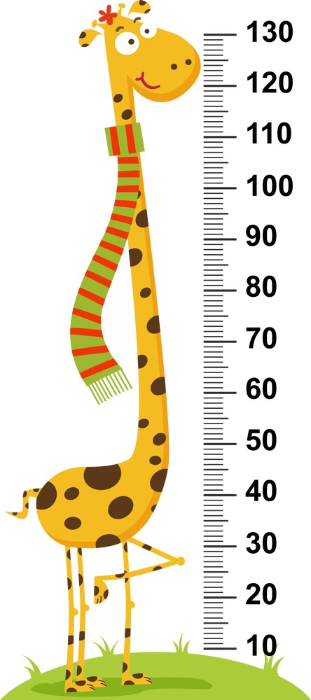 Children Growth Height Chart Height Measure Wall Sticker