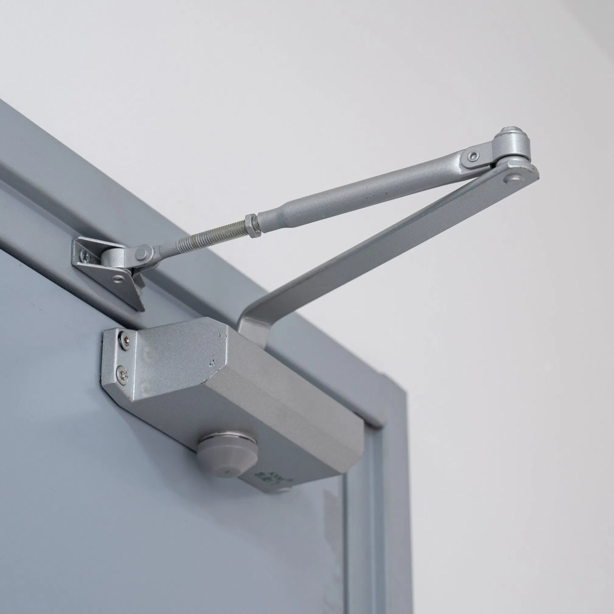 China Factory Pry-Proof Steel Fire Door for Commercial Premises