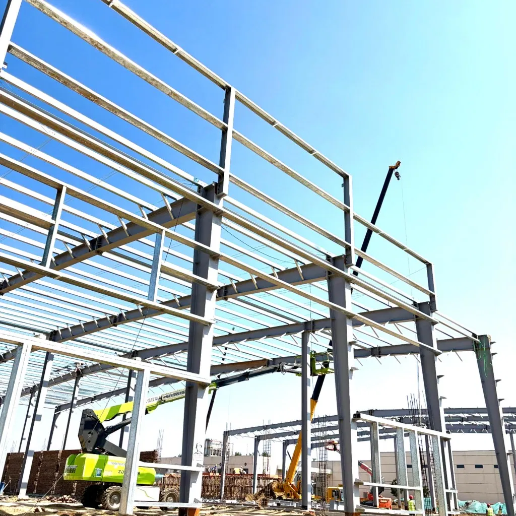 Safe Storage Metal Building Light Type Standard Constructing Steel Structure Warehouse.