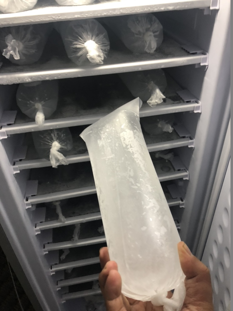 11/7layers 198L DC 24V Commercial Ice Block Machine Solar Ice Maker Solar Refrigerator