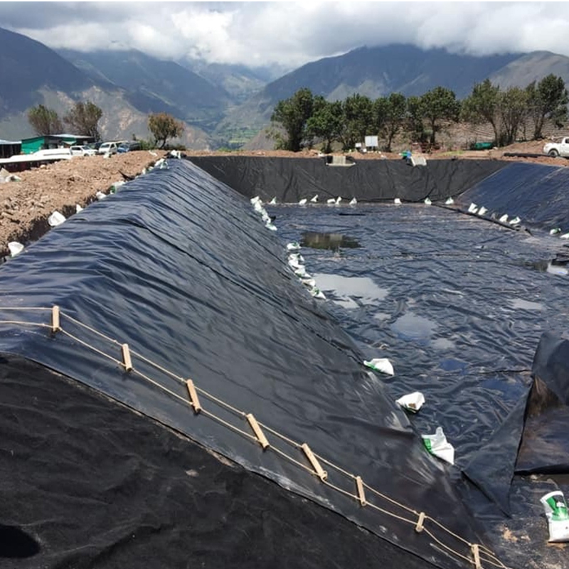 Factory Low Price 0.5mm 1.0mm 1.5mm HDPE Geomembrane Pond Liners for Water Conservancy Landfill Capping Basal Lining Division