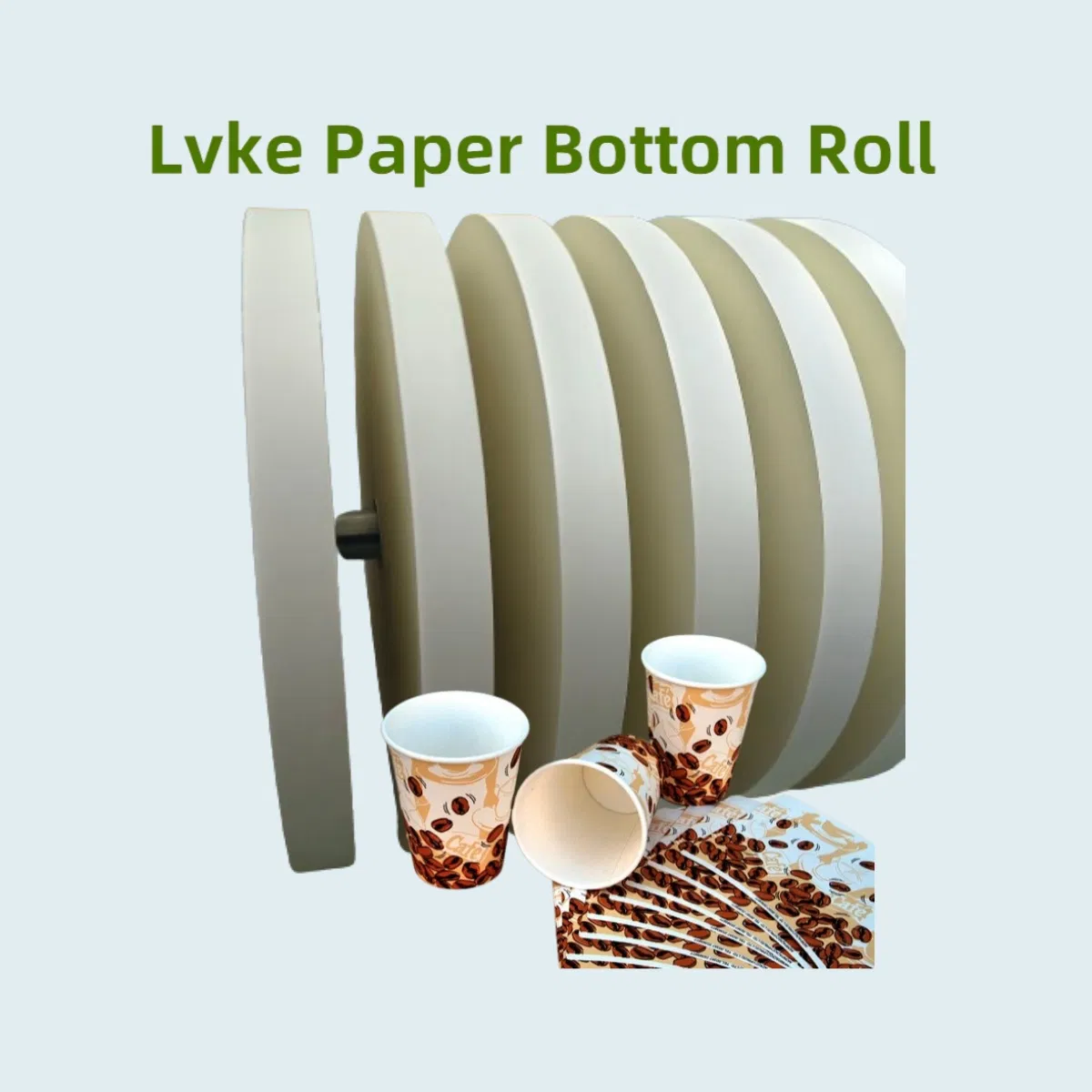 Paper Cup Bottom Hight Quality Raw Materials for Paper Cup