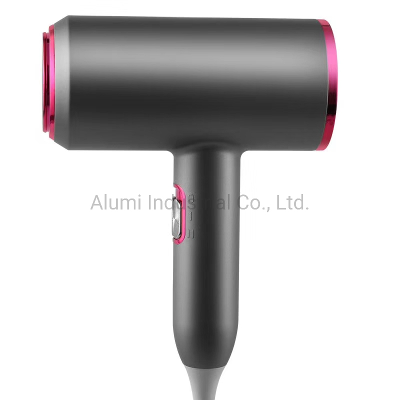 Professional Hair Dryer 1800W for Hotel Travel Hair Dryer