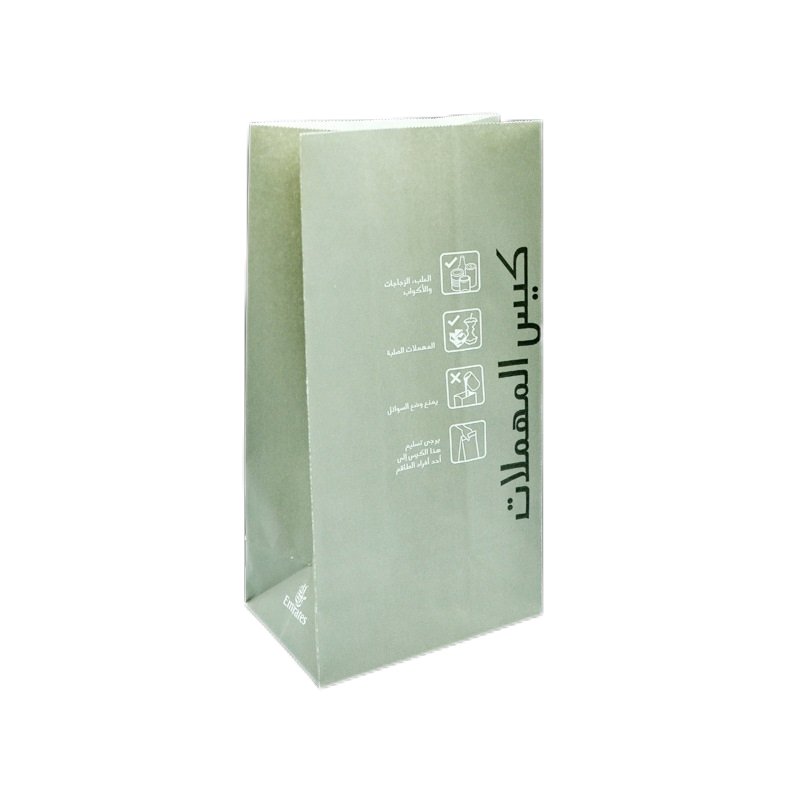 Custom Paper Vomit Disposable Printed Biodegradable Print Kraft Air Sickness Bag