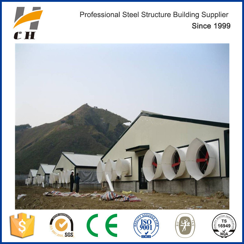 Prefab Low Price Light Steel Structure for Poultry Farm/Poultry Shed/Chicken Farm/Chicken Shed