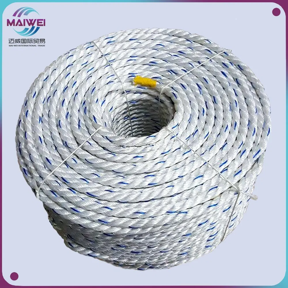 PP/Polypropylene PE/Polyethylene Plastic Mooring Twisted Rope Nylon Twine Polyester Rope Braided Rope PP Tali Manila Rope
