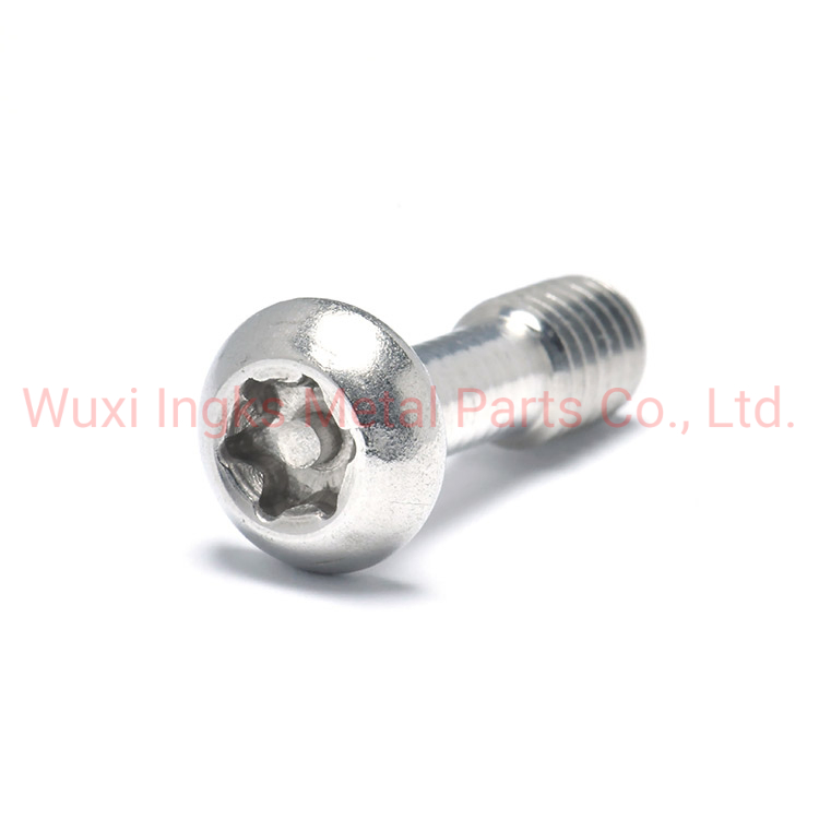 A2-70 Captive Screw Button Head Torx Pin Security Screw