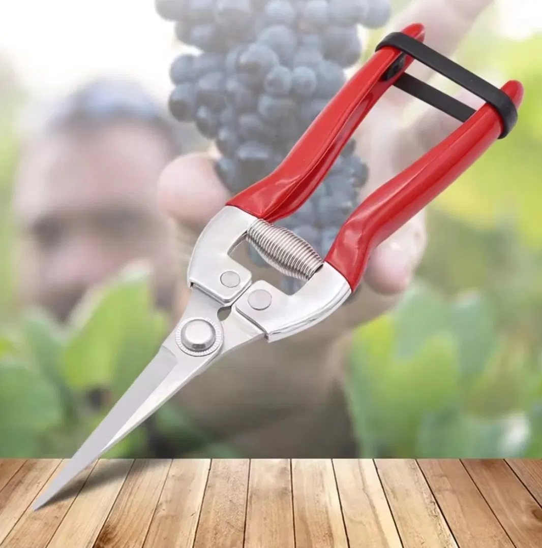 Red Rough Branch Pruning Shears Manual Fruit Tree Pruning Shears Stainless Steel Garden Scissors