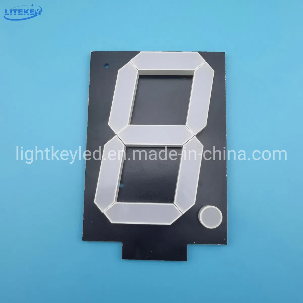 10 Inch Assembly 7 Segment LED Display with RoHS From Expert Manufacturer
