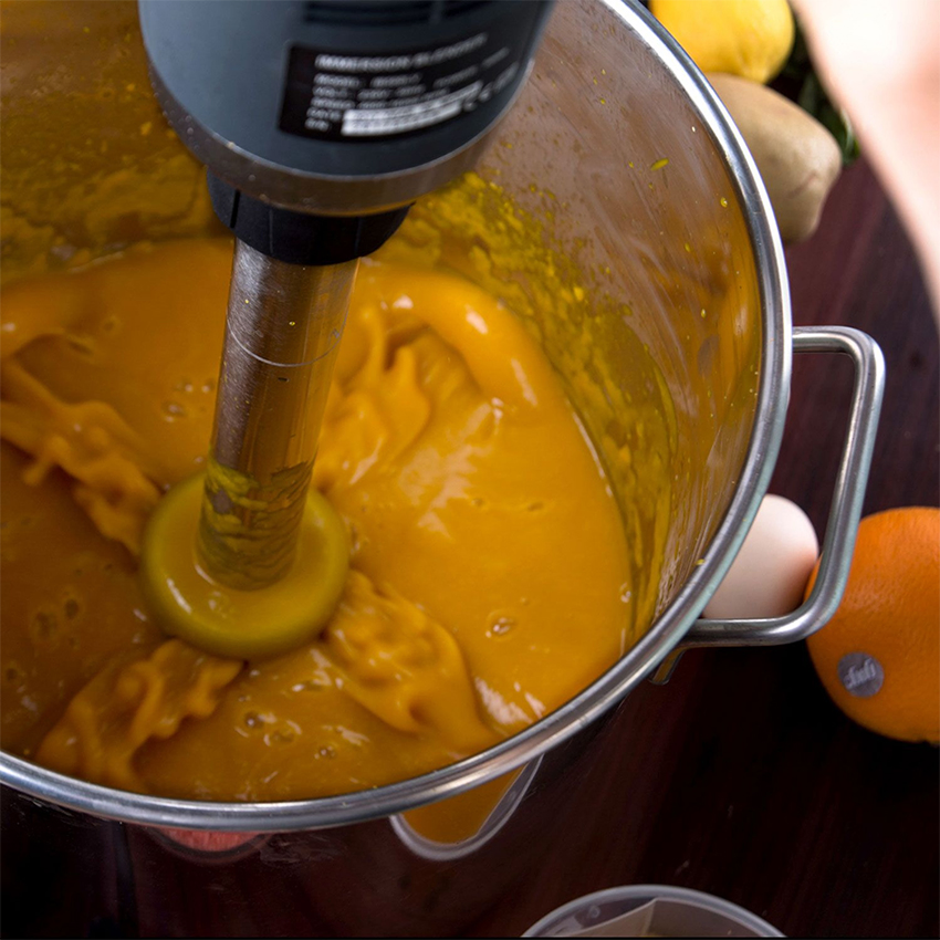 Innovative User Friendly Professional Electric Powerful Hand Blender for Milkshakes