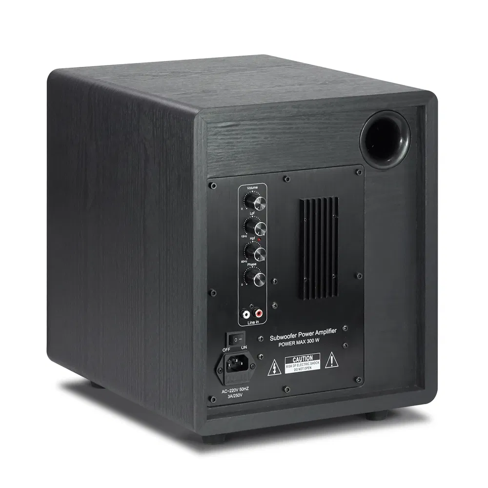 Tianlai Professional Amplifier Speakers High End Speakers in Home Audio 7.1 Active Subwoofers