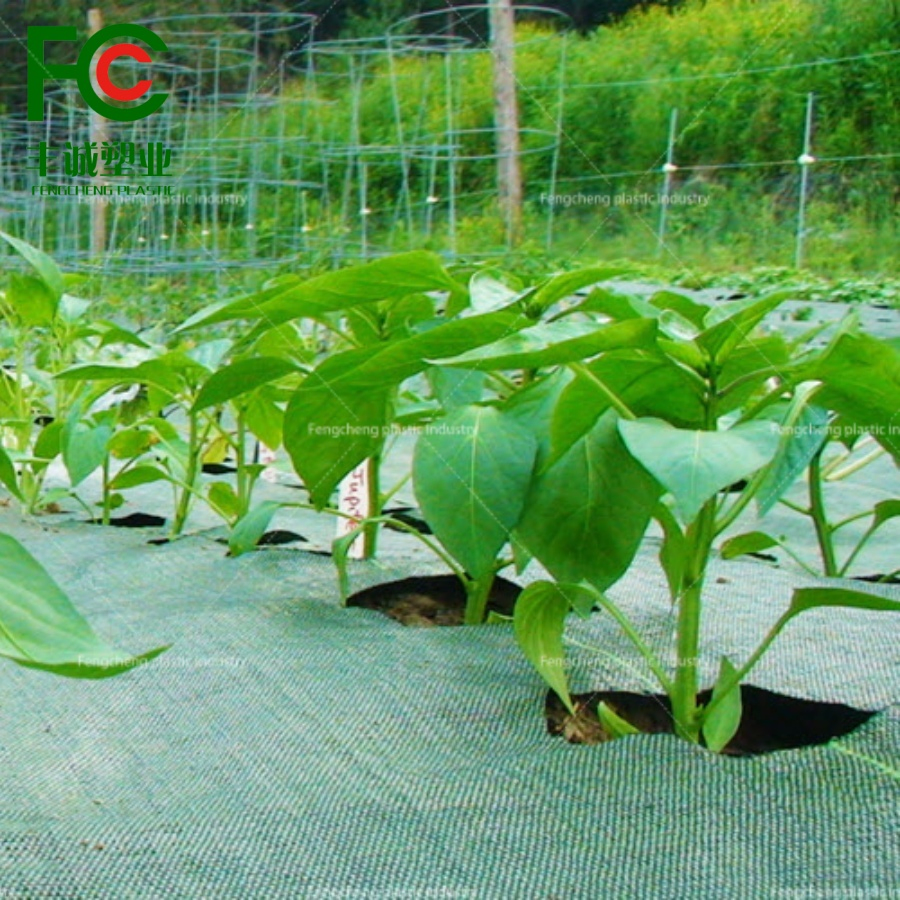 Green Weed Mat Geotextile for Enhanced Ground Cover and Weed Protection