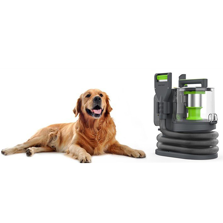 Liyyou Professional Spot Clean Portable Carpet Cleaner