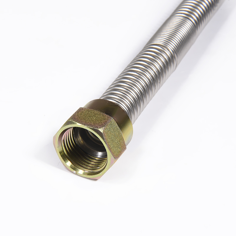 Ht Stainless Steel Shower Hose 200cm Flexible with PVC Protection