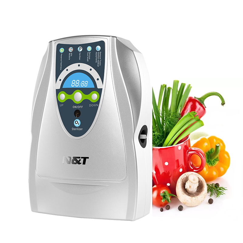 Factory Price Ozone Generator with 500mg Output for Washing Vegetable and Meat