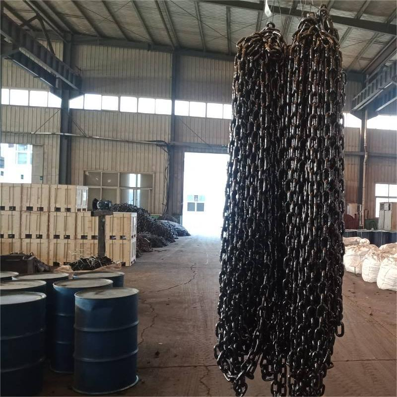 Black Painting 24*72mm Good Quality Lifting Chain for Industry