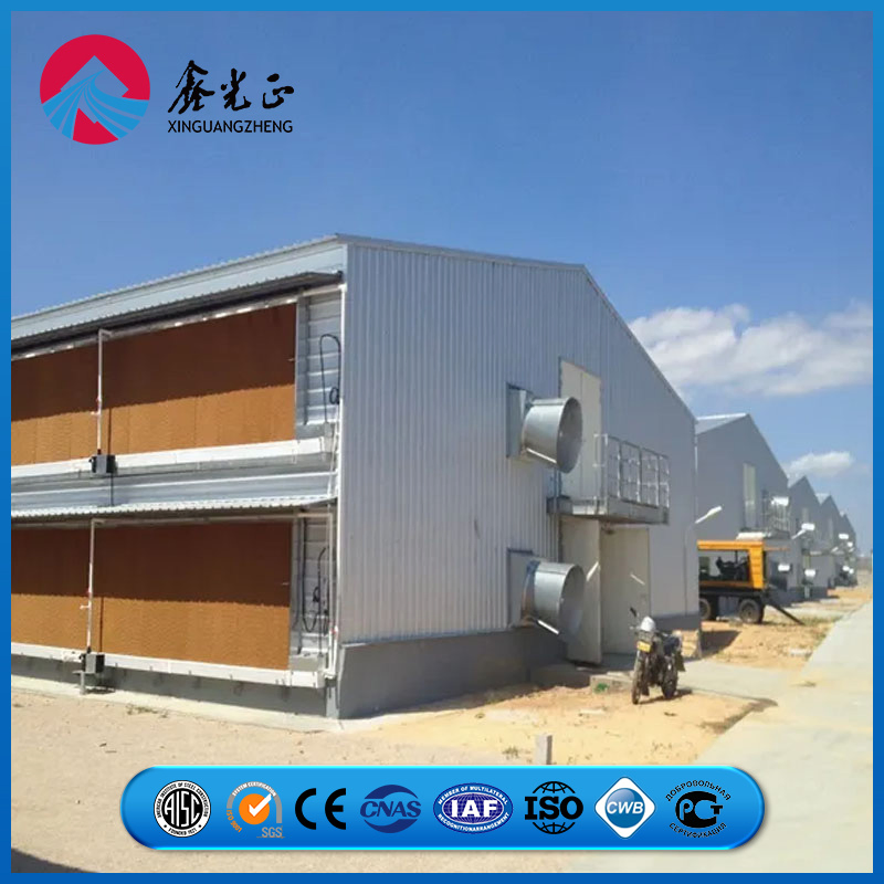 Heavy-Duty Steel Roof Support Grid Chicken Prefab Metal Farming Equipment Steel Structure Sheep/Goat/Pig/Hog/Cattle/Cow/Poultry House/Shed