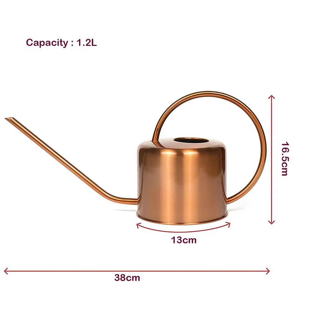 Rustproof Mini 1.2L Stainless Steel Watering Can/Pot/Kettle with Long Spout Garden Watering Tools