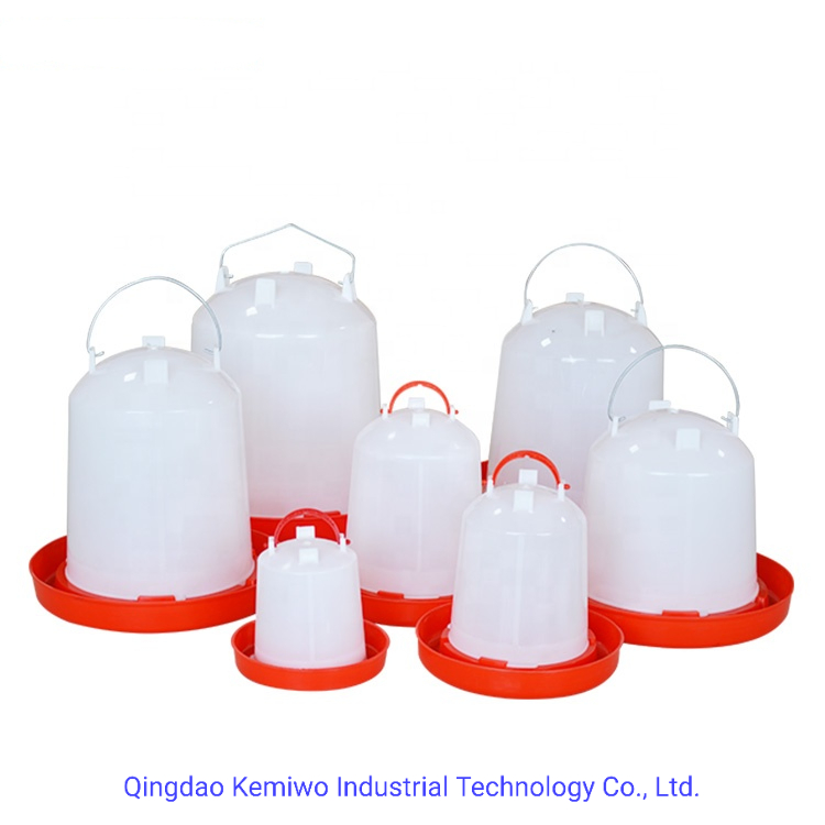 Poultry Equipment Feeding System Chicken Accessories