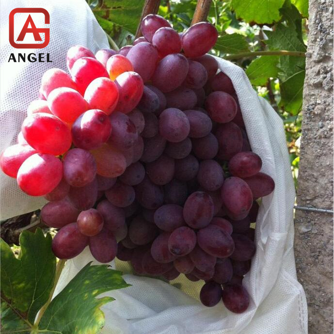 Wholesale Agricultural PP Nonwoven Fabric Protective Bag for Fruit