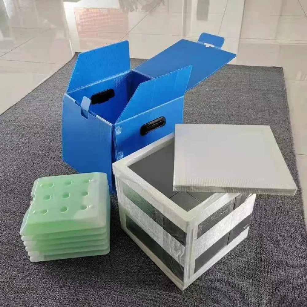 Reusable Cold Chain Transportation Box with Vacuum Insulated Panel Insulation