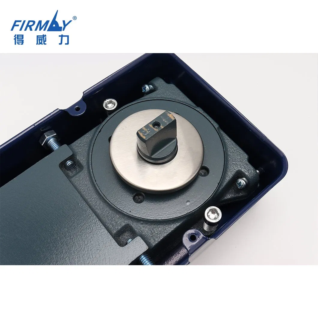 China Supplier Good Quality Hydraulic Glass Door Floor Hinge