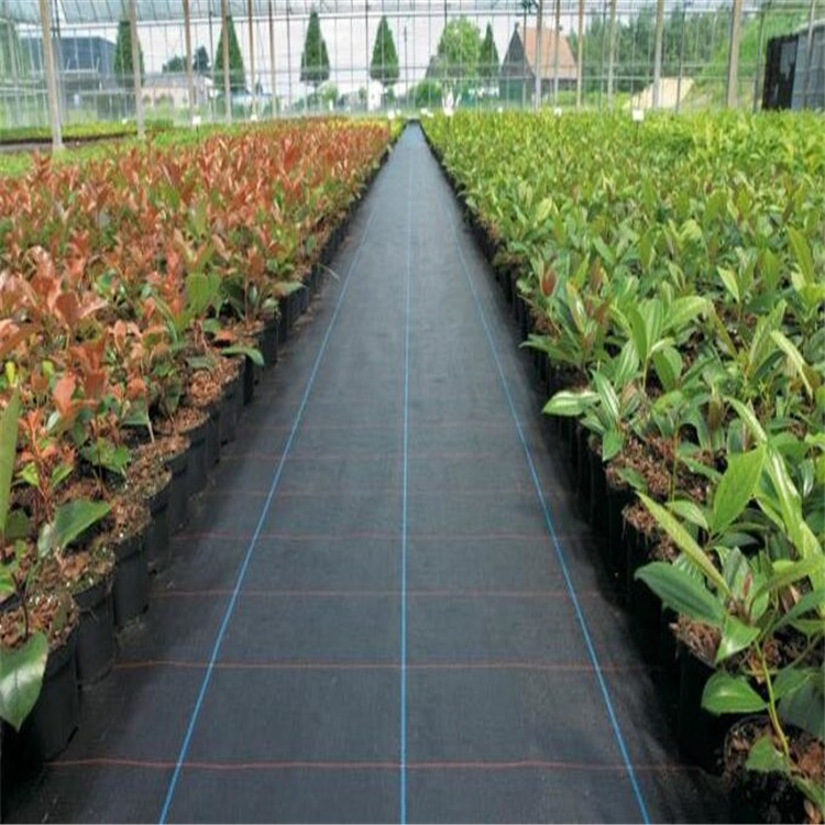 Weedblock 1*100m/ 2*100m Polyethylene Landscape Fabric Weed Mat