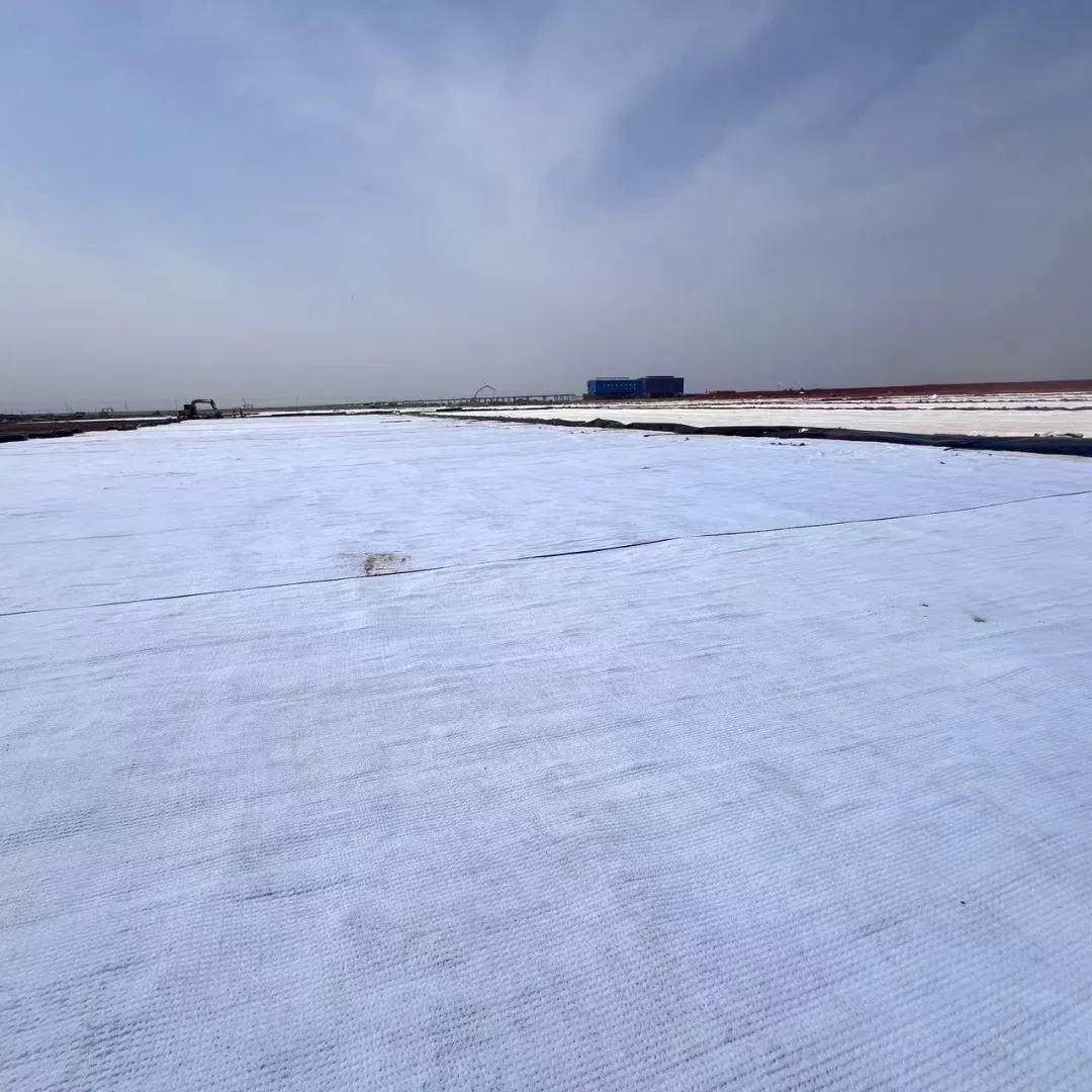 4000-6000g Geosynthetic Clay Liners Anti-Seepage Sodium Bentonite Waterproofing Blanket Gcl