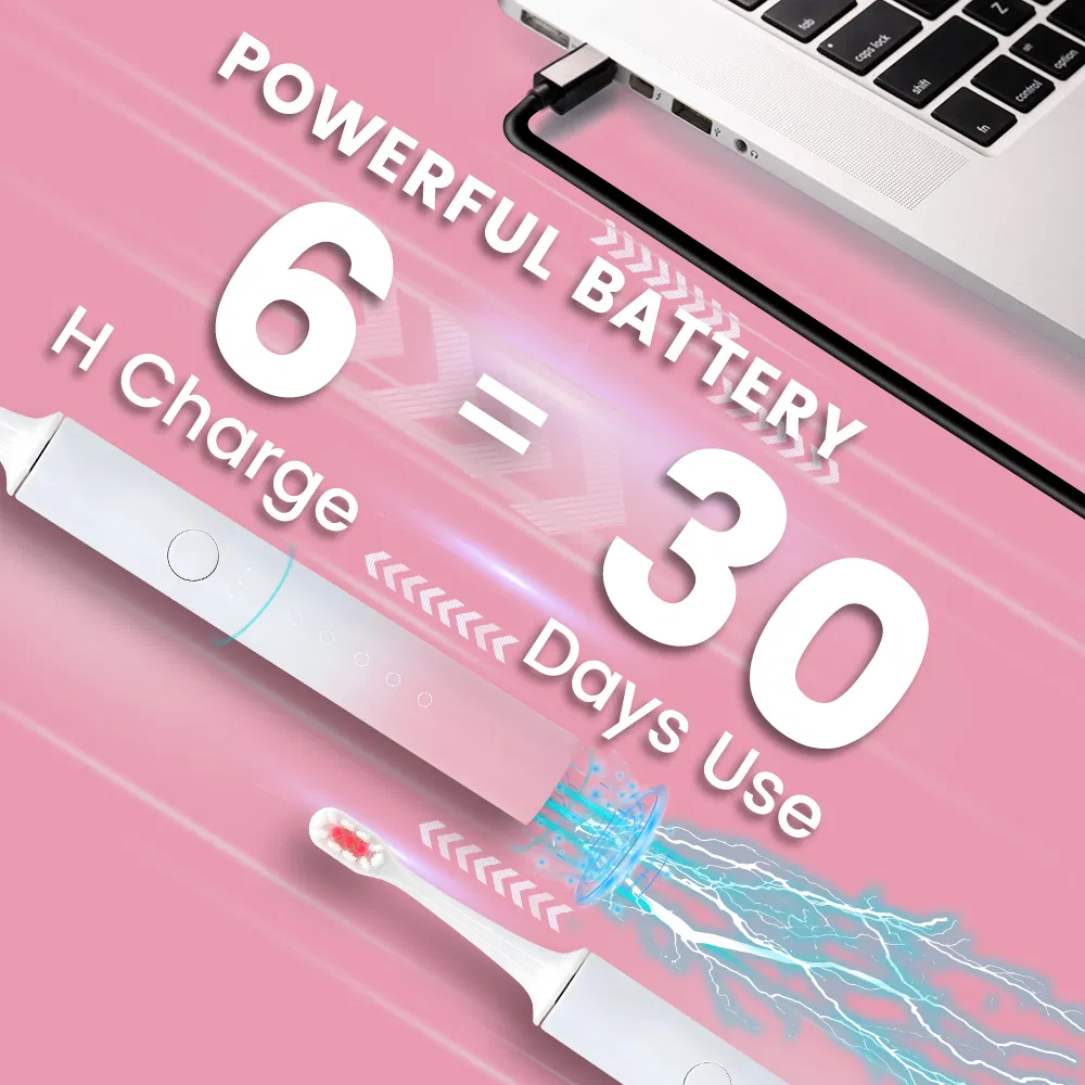 China Factory Wholesale Personalized Travel Portable Smart Waterproof Freshday Sonic Electric Toothbrush