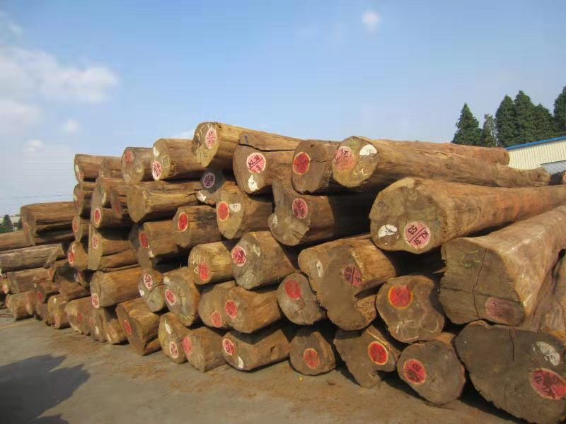 Authentic Burmese Logs Teak Boards Furniture Decks Thai Teak