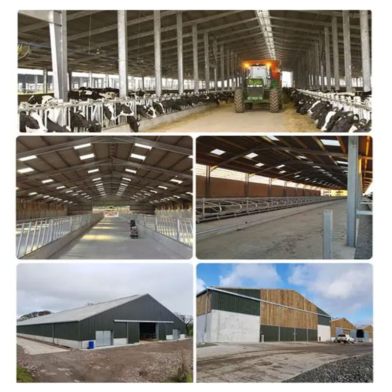 Storage Poultry Chicken Poultry Farm Shed Low Price Prefab Steel Structure Dairy Cow Shed