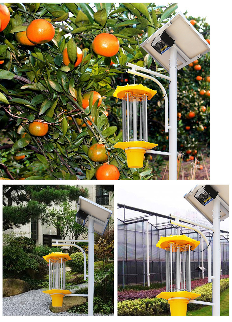 Wholesale Solar Bug Zapper for Farm Kill Pests