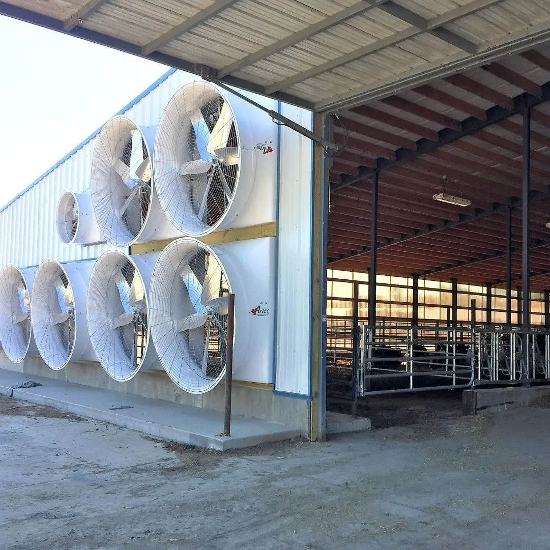 Customized Easy Erected Steel Structure Cow Farm Dairy Cow Shed