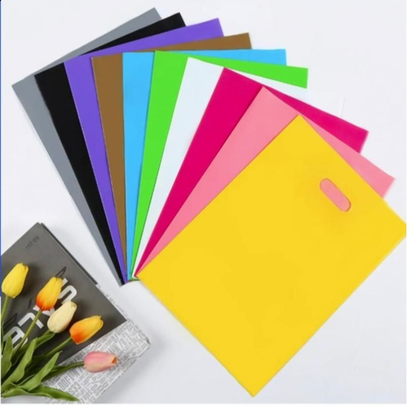 Women Plastic Handle Bags Shopping Bags with Die Cut