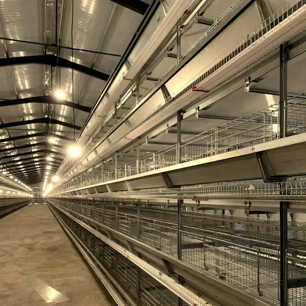 Factory Price Quality Assurance Steel Structure Poultry Farm with Equipment (XGZ-Z111)