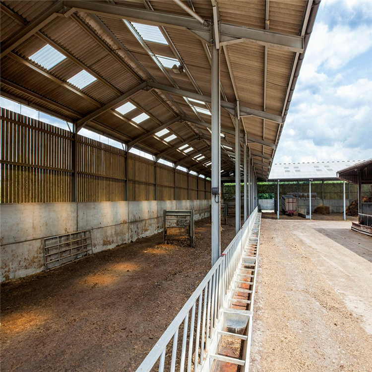 Low Cost Pheasantry Steel Structure Farm