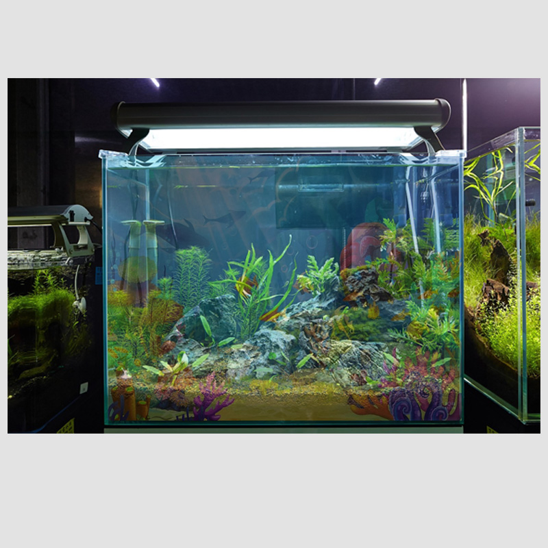 Большой LED-экран для бассейна, водный дисплей