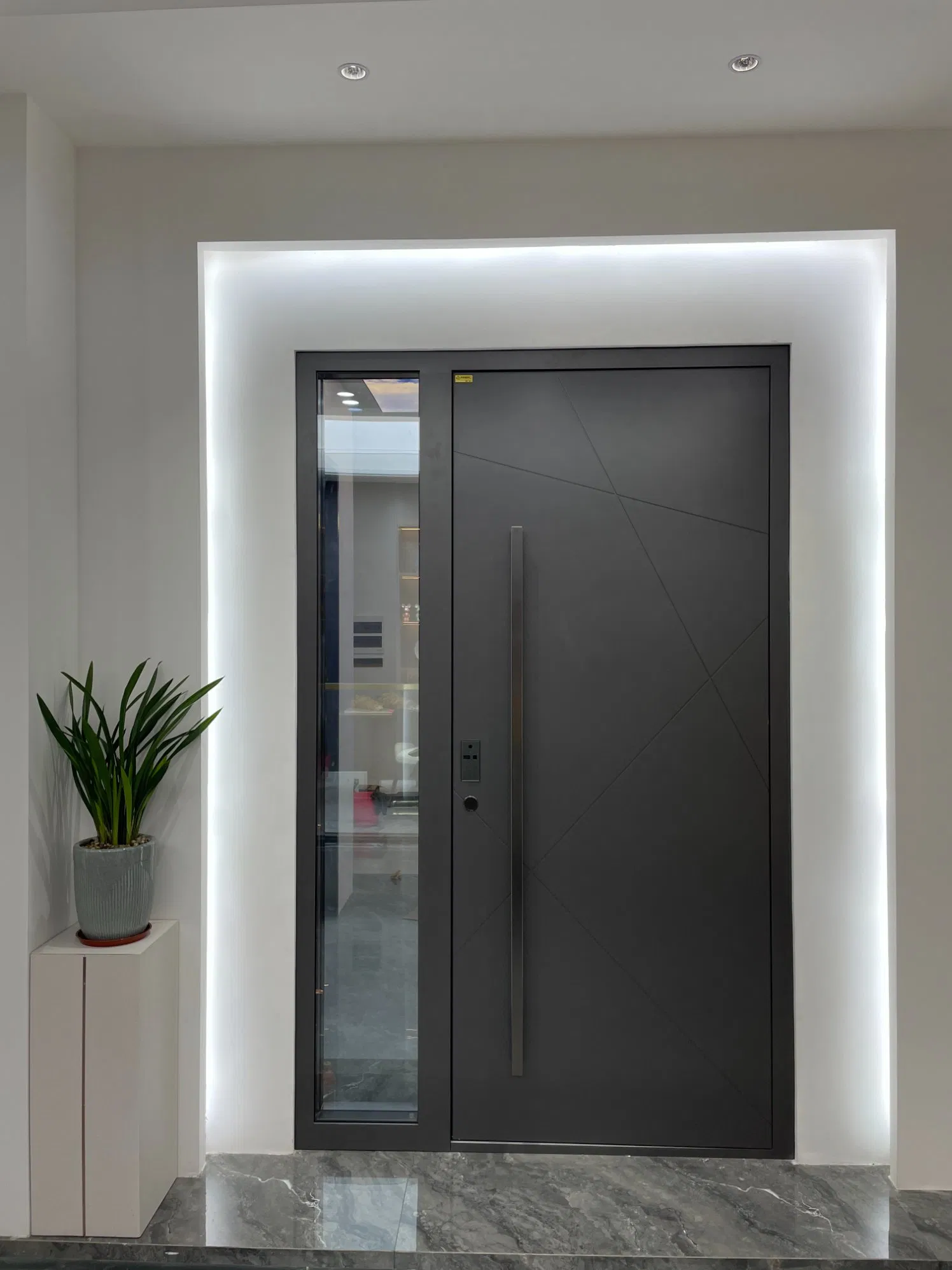 Aluminum Entrance Pivot Door Stainless Steel Double Action Swing Pivot Hinge Entrance Front Doors in Foshan