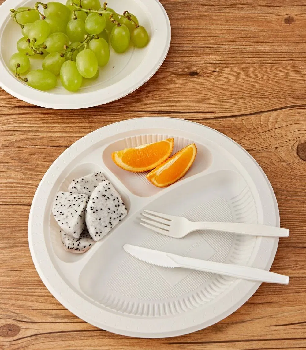 Water-Proof Biodegradable Plates 10 Inch Salad Catering White Round Plate