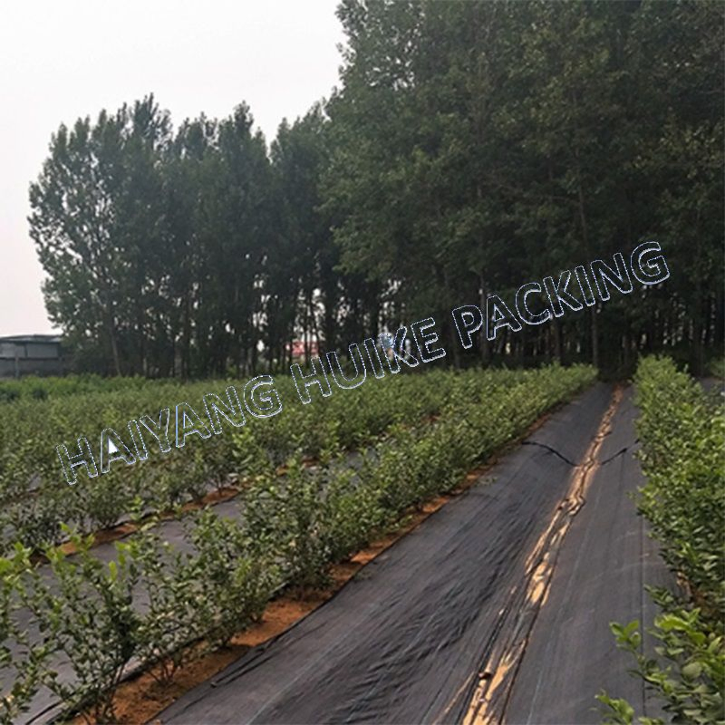 Weed Mat 100sqm PP Woven Weed Mat Landscape Fabric Weed Mat to Stop Grass Growing